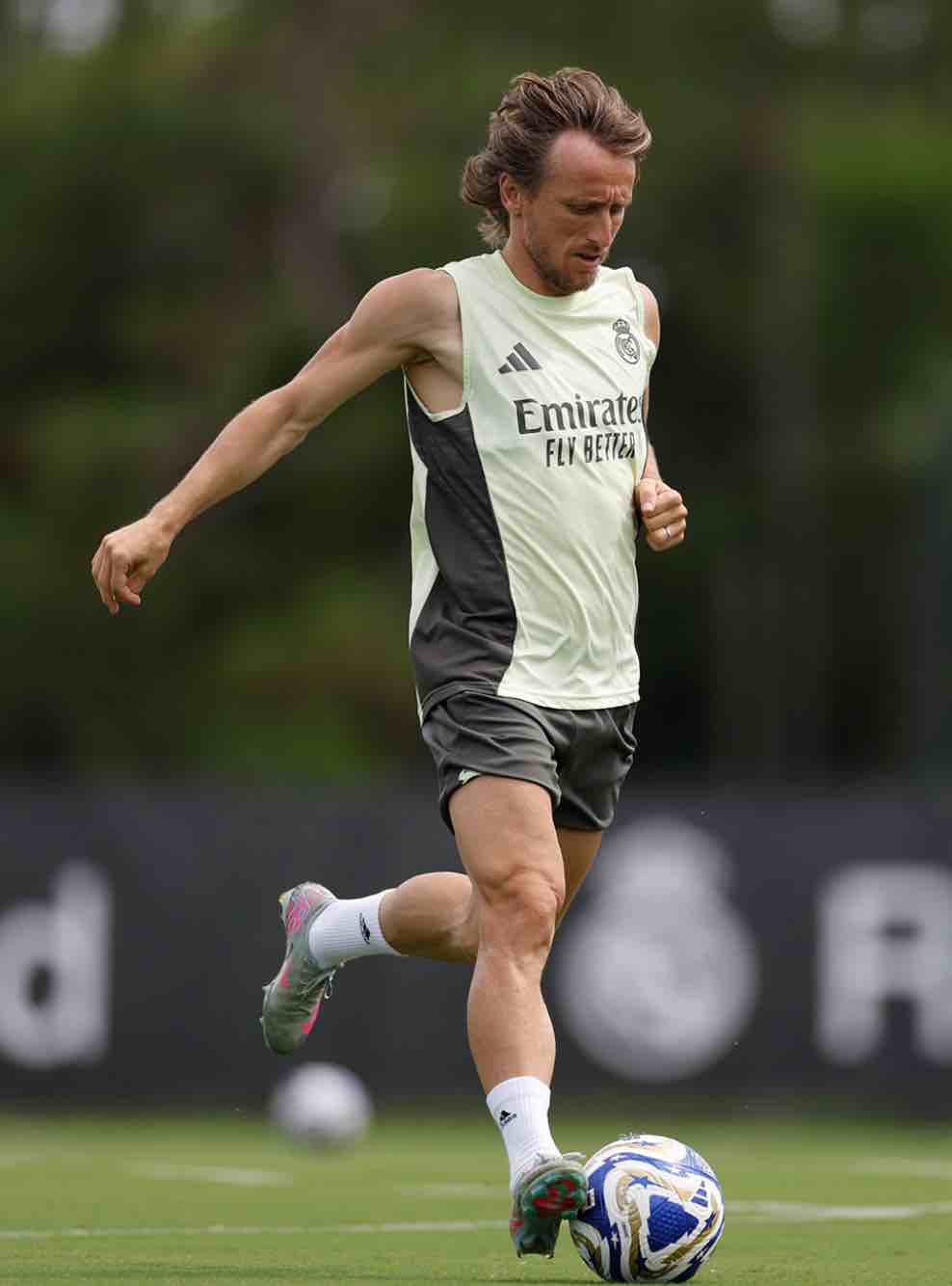 levy y la estadistica hablan el mismo idioma